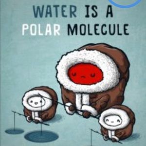 Meet your Posher, William